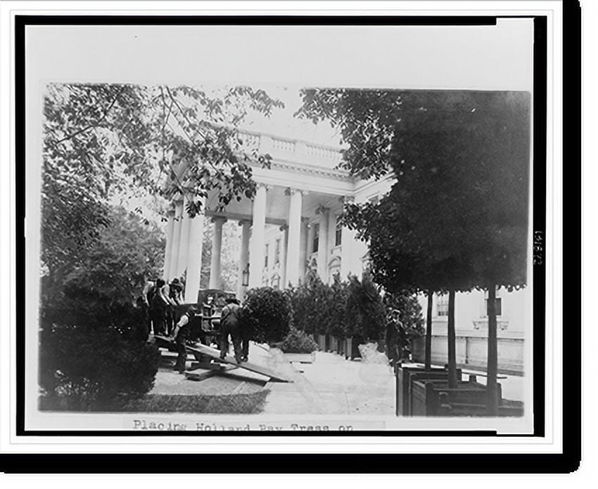 Historic Print, Placing Holland bay trees on the west wing of the White