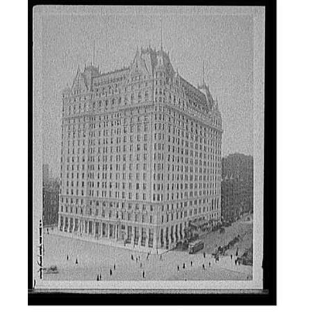 Historic Print, Plaza Hotel, New York, N.Y., 16" x 20"