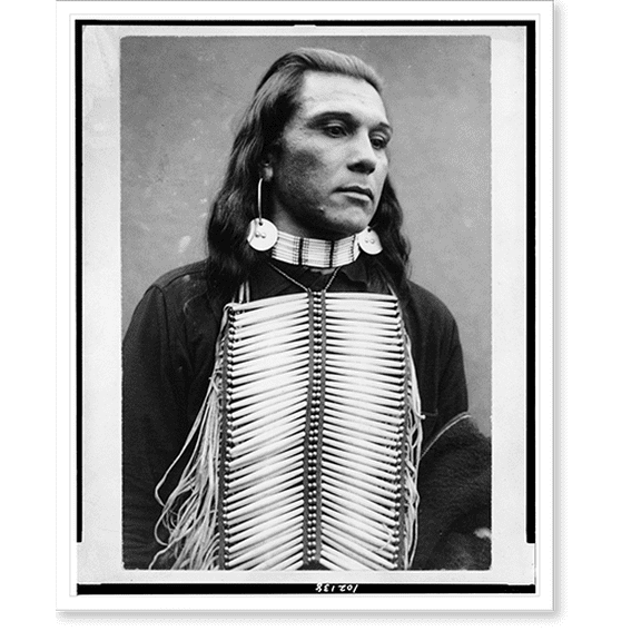 Historic Print, [Po-ca-tel-lo, Yakima or Umatilla Indian, from Oregon, half-length portrait, facing right, wearing breast plate], 18" x 24"