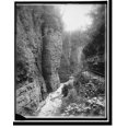 Historic Print, Point Lookout, Ausable Chasm, N.Y., 16" x 20"