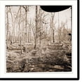 thumbnail image 1 of Historic Print, Point of Rocks Virginia (vicinity). Swamp on Appomattox River, 18" x 24", 1 of 3