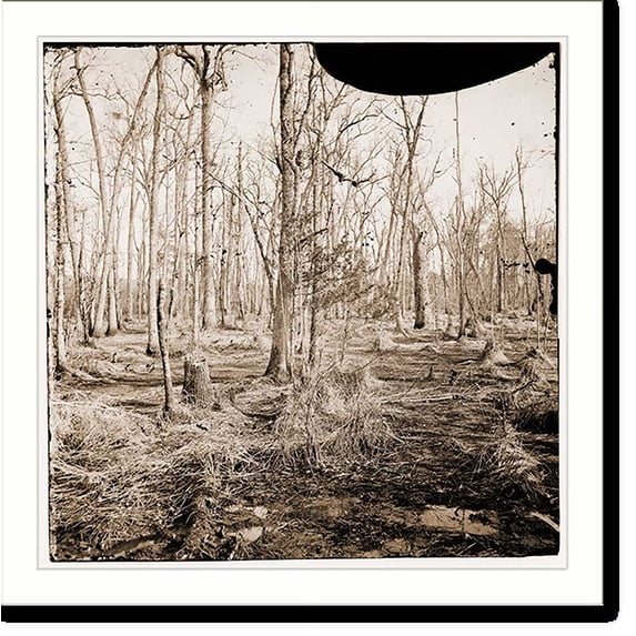 Historic Print, Point of Rocks Virginia (vicinity). Swamp on Appomattox River, 18" x 24"