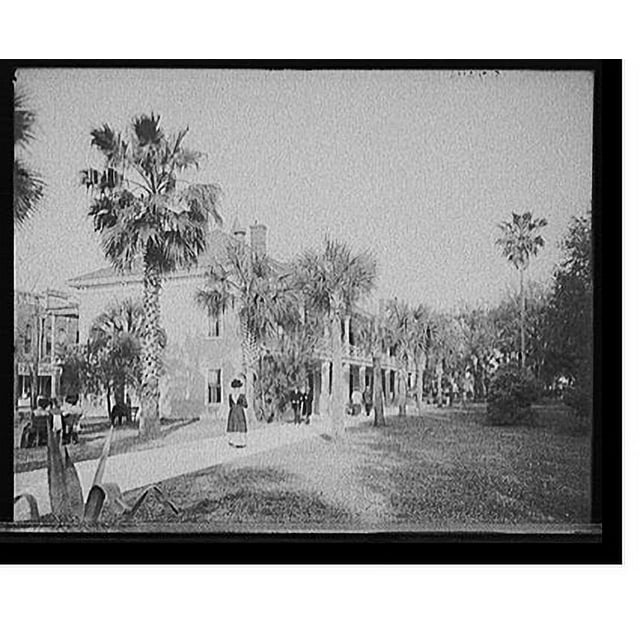 Historic Print, [Post Office and Plaza de la Constitucion, St