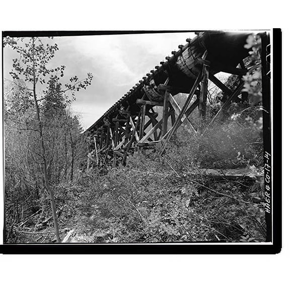 Historic Print, Power Flume No. 1, Tacoma vicinity, La Plata County, CO - 14, 18" x 24"