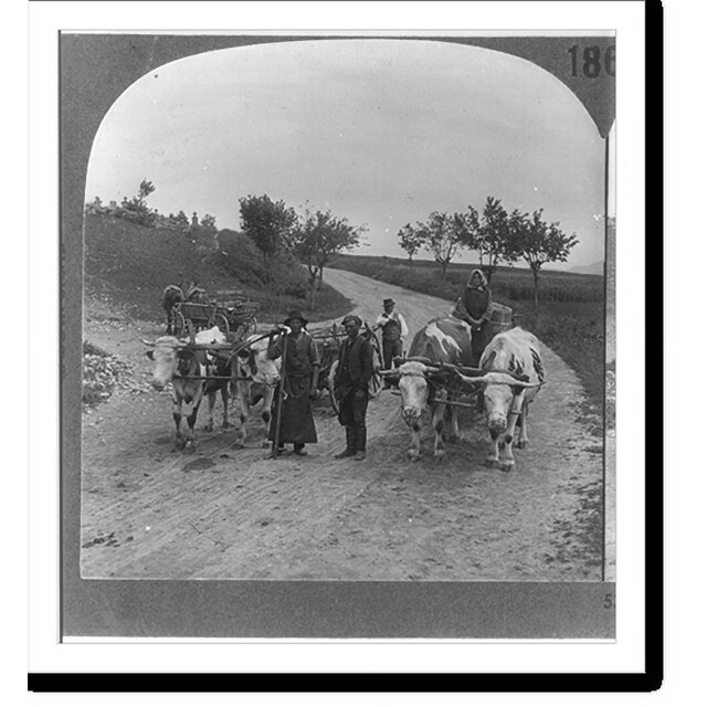 Historic Print, Primitive methods of transportation still prevailing in