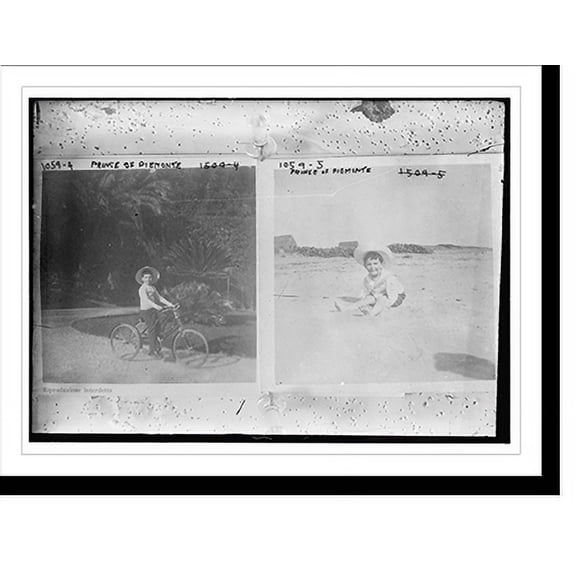 Historic Print, Prince of Piemonte (Crown Prince of Italy) - 2, 16" x 20"