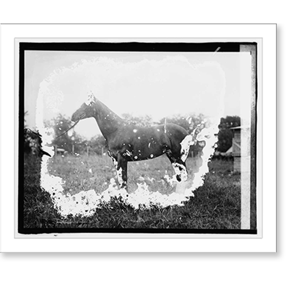 Historic Print, Princess, 16" x 20"