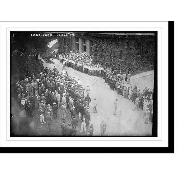 Historic Print, Princeton Cane Rush, 18" x 24"