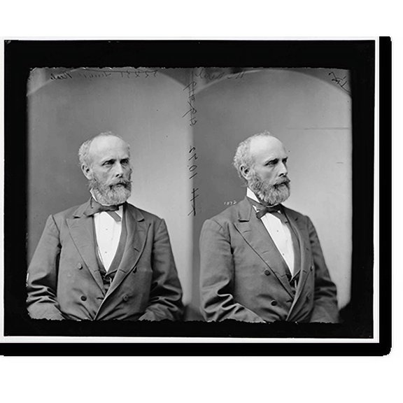 Historic Print, Prof. Henry Peters [?] Gray - 2, 18" x 24"