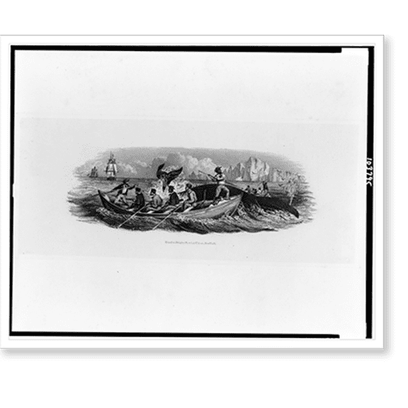 Historic Print, [Proof for bank note vignette of men harpooning whale].Rawdon, Wright, Hatch and Edson, New York., 16" x 20"