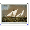 thumbnail image 1 of Historic Print, The Puritan and Genesta on the homestretch: in their second and final international race for The America's Cup" Sept. 16th 1885", 18" x 24", 1 of 3