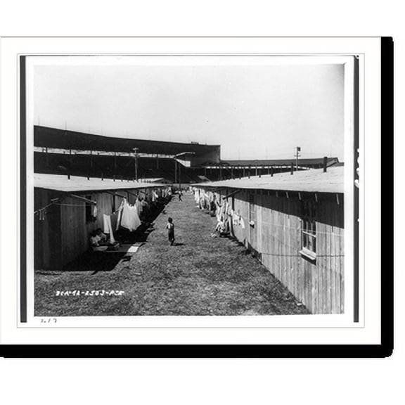 Historic Print, Puyallup (Wash.) Assembly Center - rafters from barrack buildings make convenient extensions for a clothesline, 18" x 24"