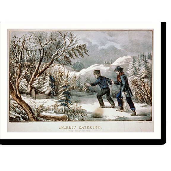 Historic Print, Rabbit catching: the trap sprung, 18" x 24"