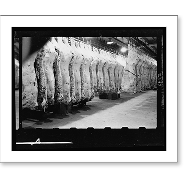 Historic Print, [Racks of meat in cold storage in a meat locker], 16" x
