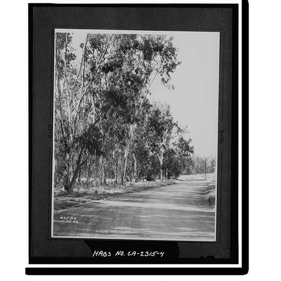 Historic Print, Rancho Santa Fe, Rancho Santa Fe, San Diego County, CA - 4, 18" x 24"