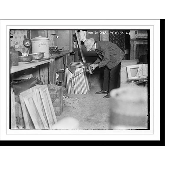 Historic Print, Rat catcher at work, 18" x 24"