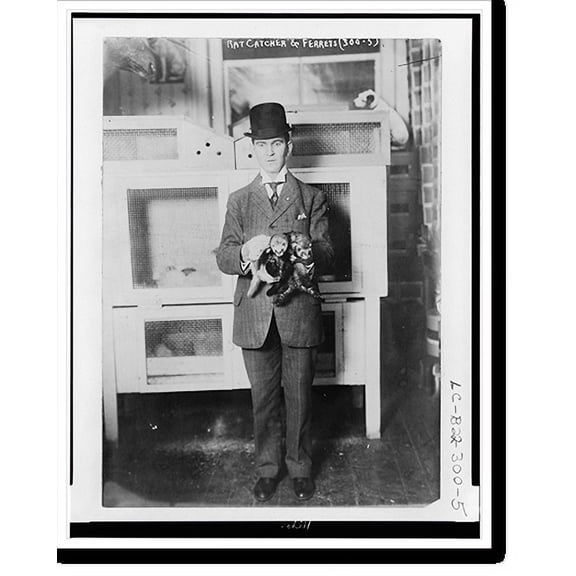 Historic Print, Rat catcher & ferrets, 16" x 20"