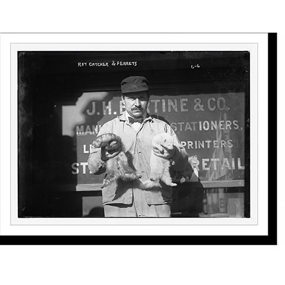 Historic Print, Rat catcher holding ferrets, 18" x 24"