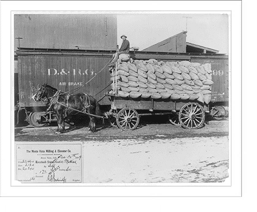 Historic Print, Record load of wheat, 16