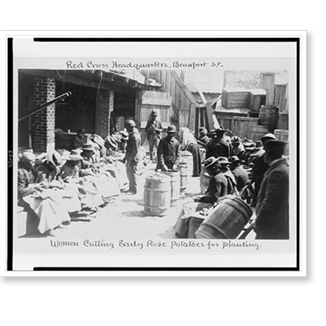 Historic Print, Red Cross Headquarters, Beaufort, S.C.. Women cutting
