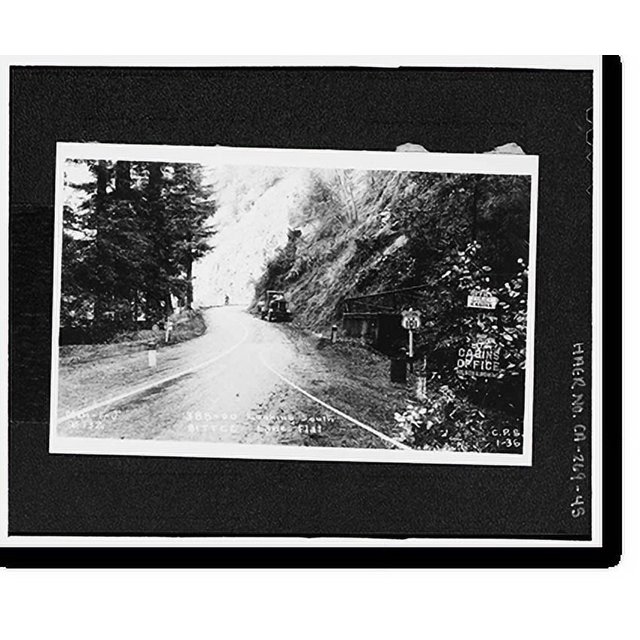 Historic Print, Redwood National & State Parks Roads, California coast