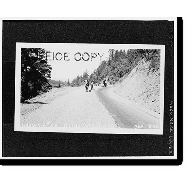 Historic Print, Redwood National & State Parks Roads, California coast