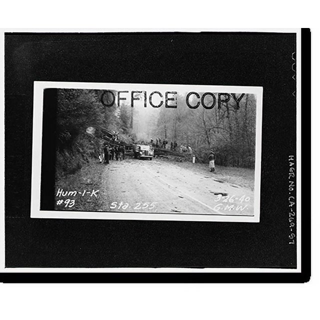 Historic Print, Redwood National & State Parks Roads, California coast