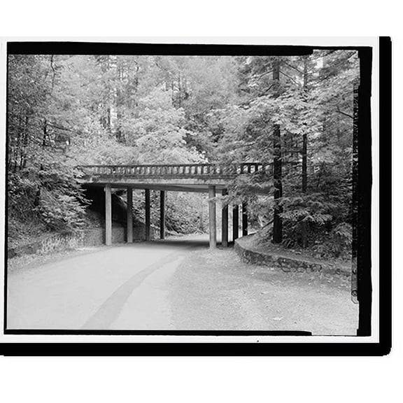 Historic Print, Redwood National & State Parks Roads, California coast from Crescent City to Trinidad, Crescent City, Del Norte County, CA - 15, 16" x 20"