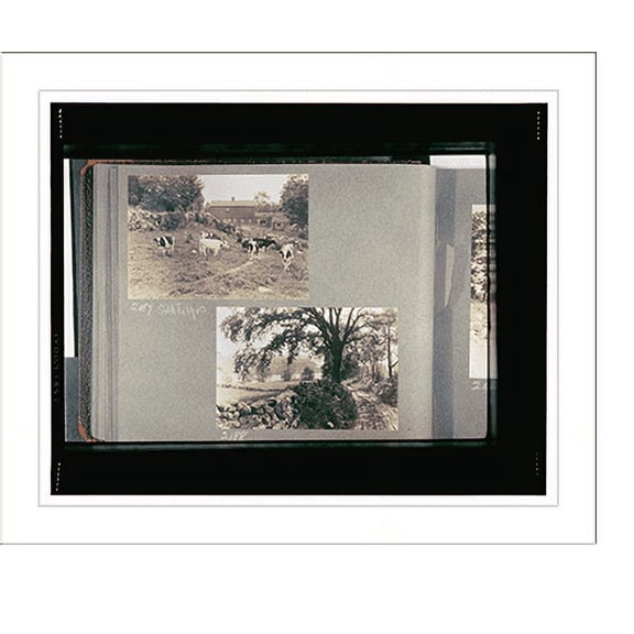 Historic Print, Reference prints from negatives.Cows in field with barn in background.Dirt road bordered on left by rock wall., 18" x 24"