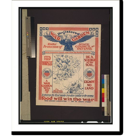 Historic Print, Registered War Garden under protection of State Council of Defense.J. N. Dingo ; Engraved by Barnes-Crosby Company., 16" x 20"