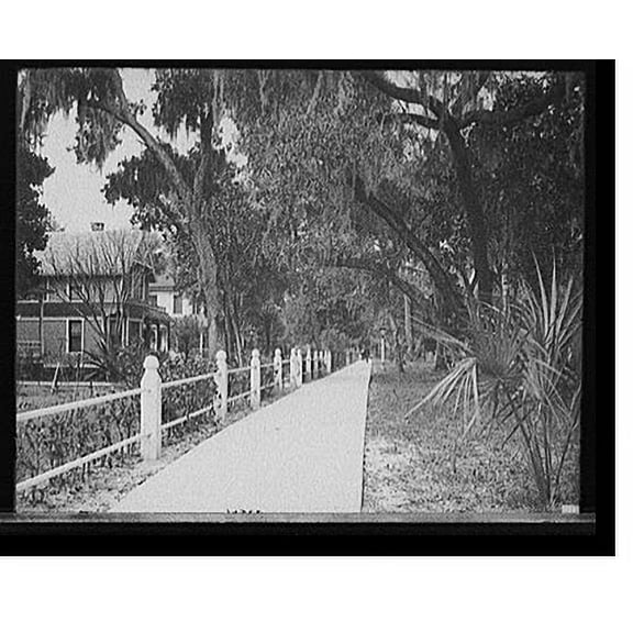 Historic Print, [Residences on Ridgewood Avenue, Daytona, Fla.], 18" x 24"