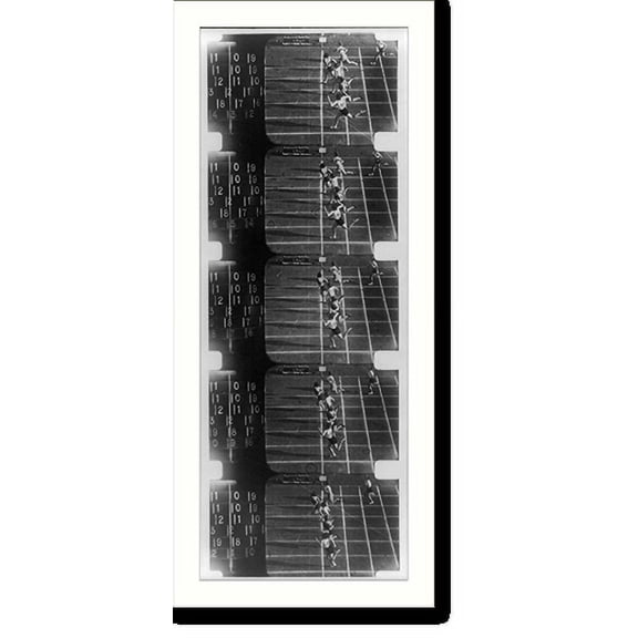 Historic Print, [Results of photo-timing by Zeiss-Ikon, AG, at the 1936 Olympic games, Berlin. Womens' 80 meter hurdles], 16" x 20"