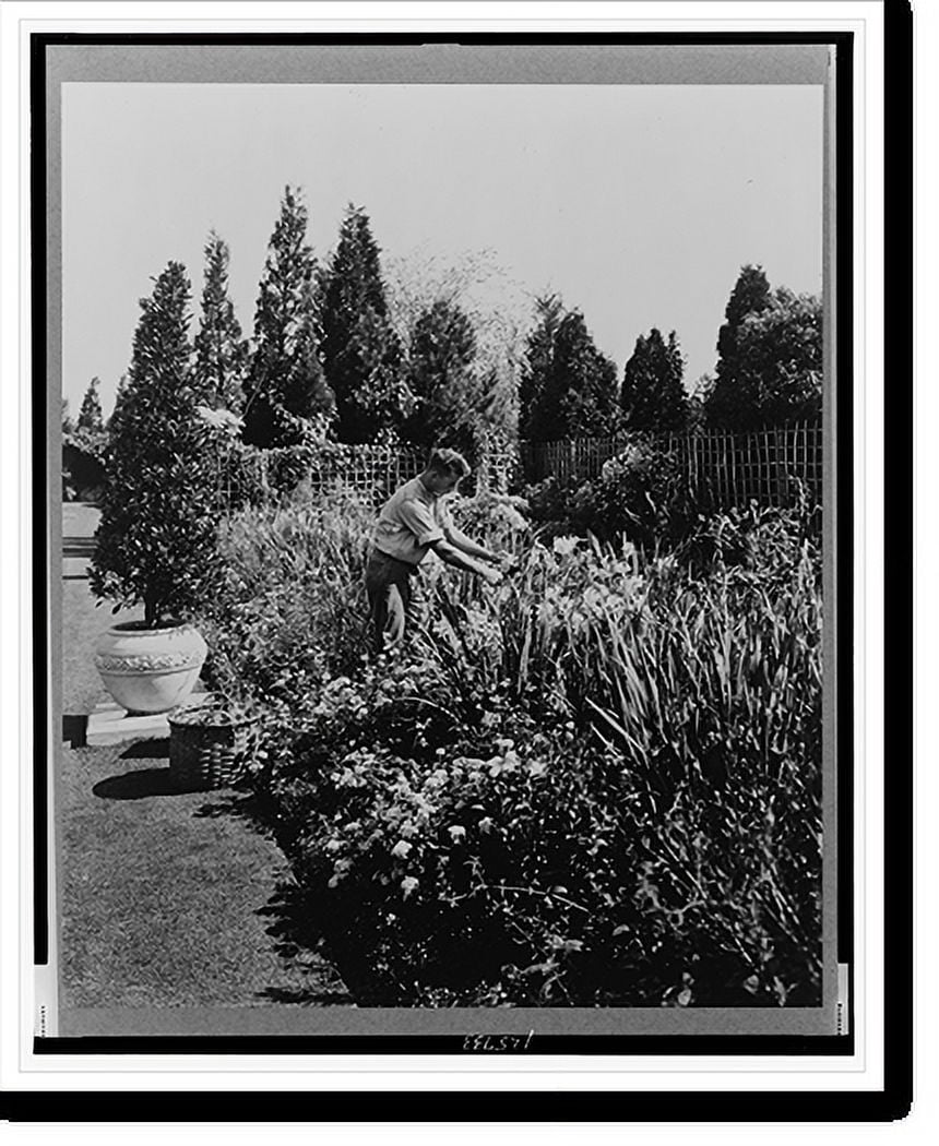 Historic Print, Rhode Island. Newport. A.C. James home, Blue Garden, gardener working in flowers