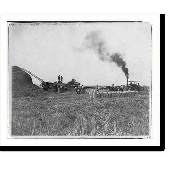 Historic Print, Rice threshing in Beaumont, Texas, 16" x 20"