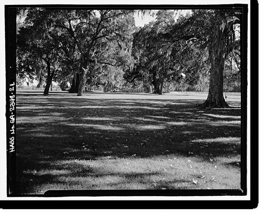 Historic Print, Richmond Hill Plantation, East of Richmond Hill on Ford
