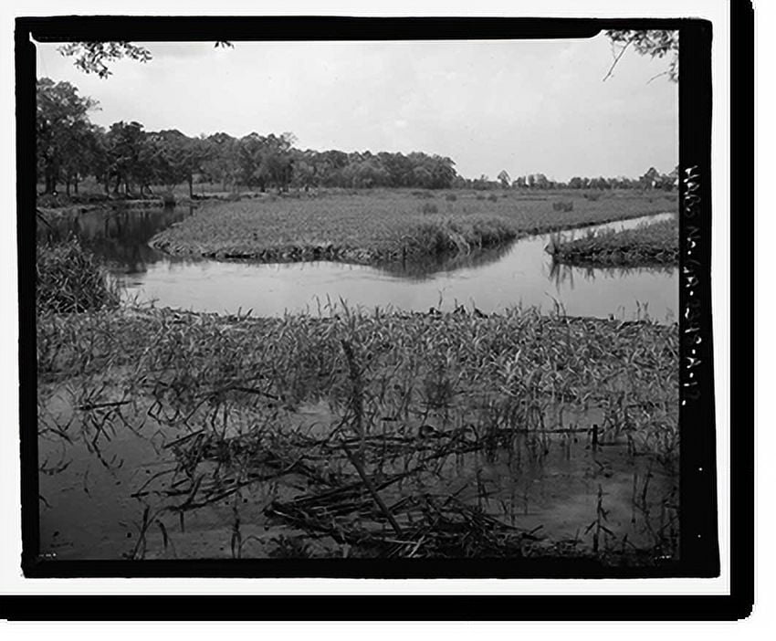 Historic Print, Richmond Hill Plantation, Sterling Creek Marsh, East of
