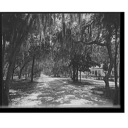 Historic Print, [Ridgewood Avenue, Daytona, Fla.] - 2, 18" x 24"