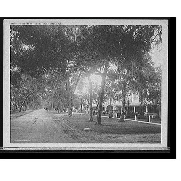 Historic Print, Ridgewood Hotel and Avenue, Daytona, Fla., 16" x 20"
