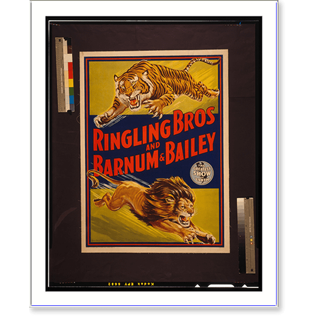 Historic Print, Ringling Bros and Barnum & Bailey The greatest show on