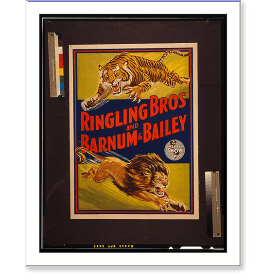 Historic Print, Ringling Bros and Barnum & Bailey The greatest show on earth.Bill Bailey., 16" x 20"