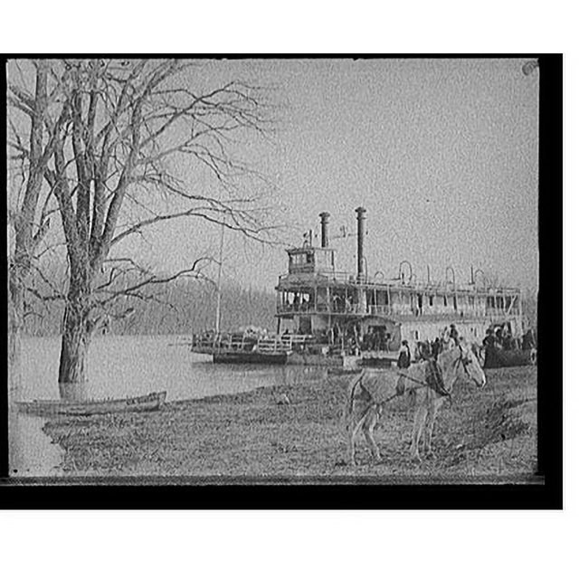 Historic Print, [River packet Chas. H. Organ landing at Mound City