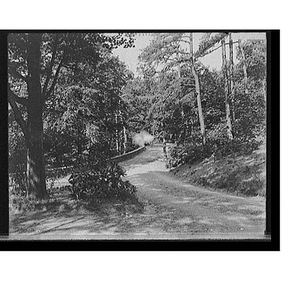 Historic Print, [Road in Sleepy Hollow, Concord, Mass.], 16" x 20"