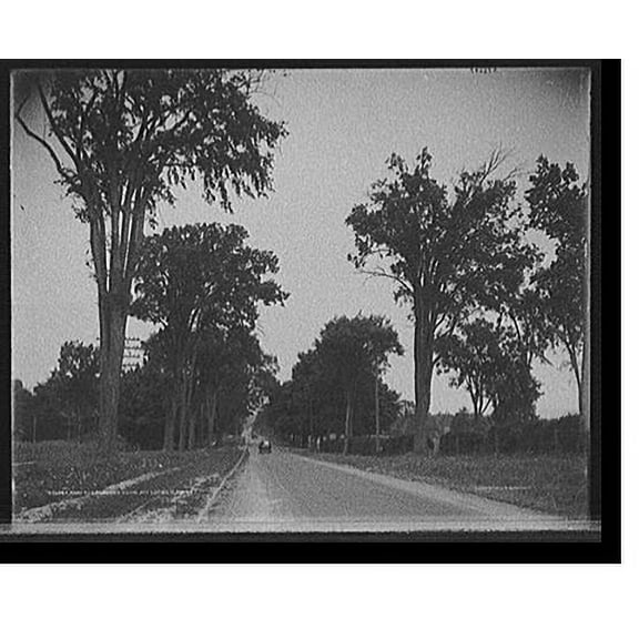 Historic Print, Road to country club, Pittsfield, Mass., 16" x 20"
