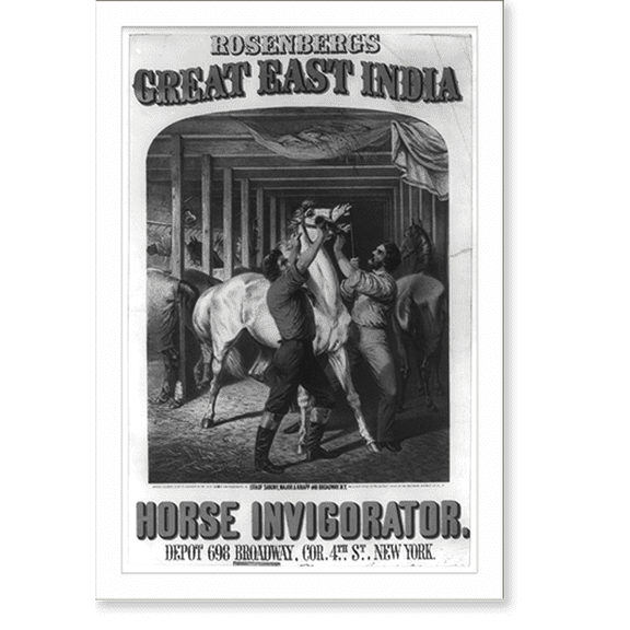 Historic Print, Rosenberg's great east India horse invigorator, 16" x 20"