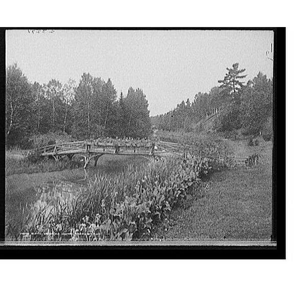 Historic Print, Rustic bridge, old channel, Charlevoix, Mich., 18" x 24"
