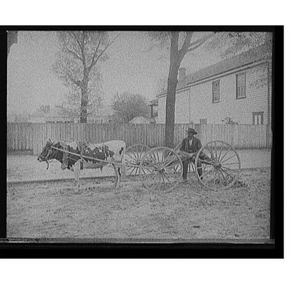 Historic Print, [S.C. huckster, South Carolina], 18" x 24"