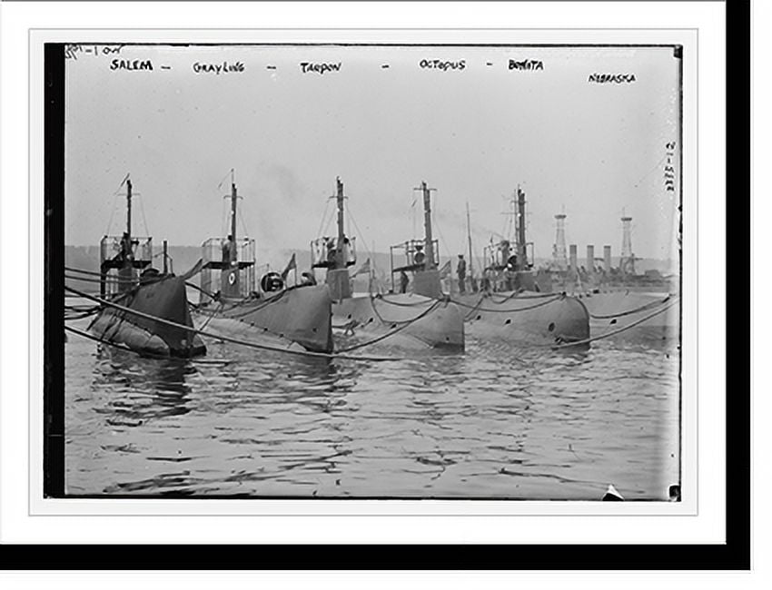 Historic Print, SALEM, GRAYLING, TARPON, OCTOPUS, BONITA, and NEBRASKA