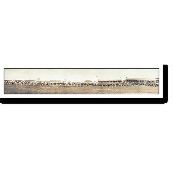 Historic Print, SD 1912 Huron State Fair PHOTO, Width 7" x Length 36"
