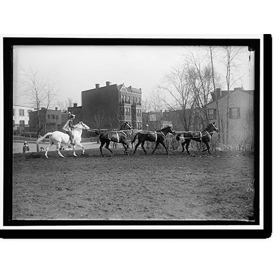 Historic Print, [SOCIETY CIRCUS], 18" x 24"