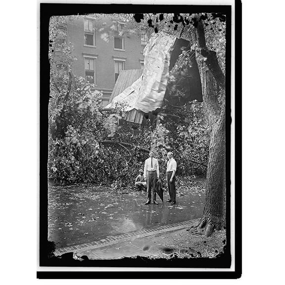 Historic Print, STORM DAMAGE - 3, 16" x 20"
